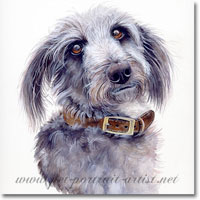 Portrait of a Lurcher by Joanna Culley
