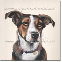 Dog Portrait of Anzac