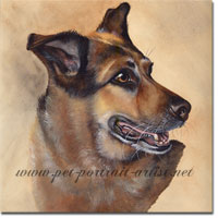 Dog Portrait of Benson.