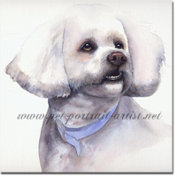 Portrait of a Bichon Frise by Joanna Culley