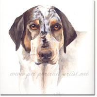 Dog Portrait of Buster, Spaniel by Joanna Culley, Pet Portrait Artist.