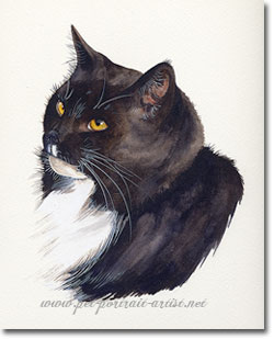 Cat Pet Portrait in Watercolour