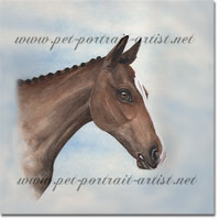 Portrait of a foal, Devon. Click on image to see large version
