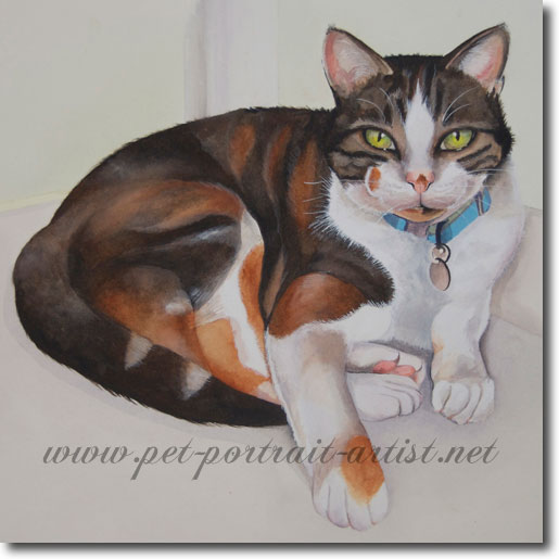 Watercolour Pet Portrait of a Cat, Jenny,  by Joanna Culley