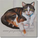 Pet Portrait of a cat, Jenny, by Joanna Culley