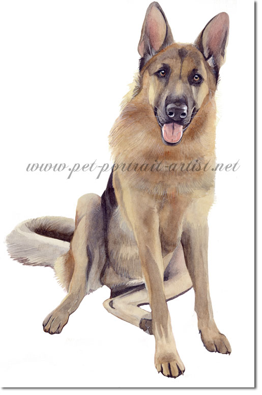 Portrait of a German Shepherd, by Joanna Culley