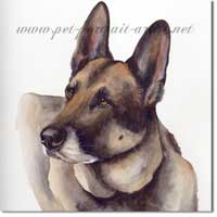 Portrait of a German Shepherd by Joanna Culley. Click on image to see enlarged version.