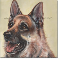 Dog Portrait of a German Shepherd, Gerry.