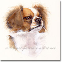 Grif Watercolour Portrait, by Joanna Culley, Pet Portrait Artist