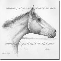Horse Portrait of Herbie