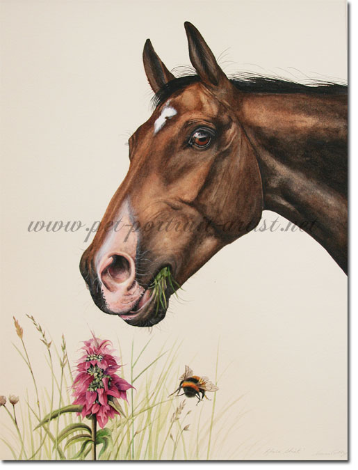 Equine portrait in Watercolour - Horse Mint, by Joanna Culley
