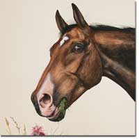 Watercolour painting Horse Mint