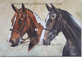 Horse Portraits of Lottie and Breeze