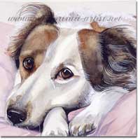 Collie dog portrait in watercolour paint, by Joanna Culley, Pet Portrait Artist