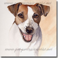 Bella, Jack Russell Terrier, by Joanna Culley, Pet Portrait Artist