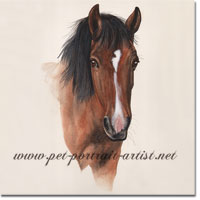 Portrait Gemini, Horse