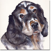 Dog Portrait of Molly, Spaniel by Joanna Culley, Pet Portrait Artist.
