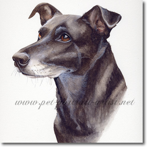 Portrait of Neesa, by Joanna Culley