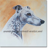 Oliver the greyhound