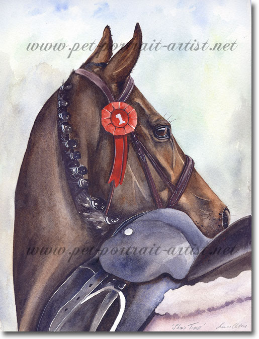 Equine portrait in Watercolour - Showtime, by Joanna Culley