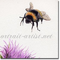 Some Bee Time Watercolour Painting, by Joanna Culley, Acclaimed Animal Artist