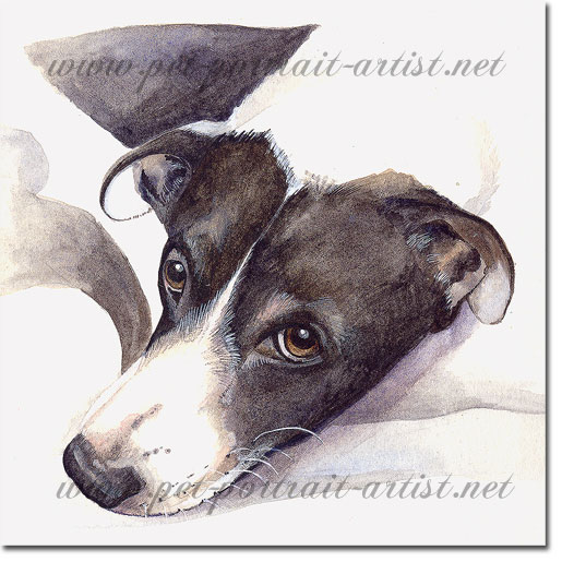 Watercolour Portrait of Tobe,  by Joanna Culley