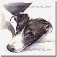 Tobe Dog Painting, by Joanna Culley, Pet Portrait Artist