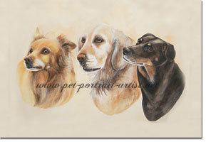 Portrait of Three Dogs by Joanna Culley, Pet Portrait Artist