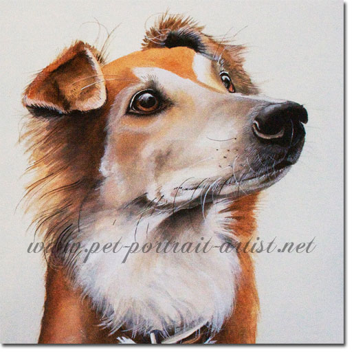 Portrait of Alfie, by Joanna Culley