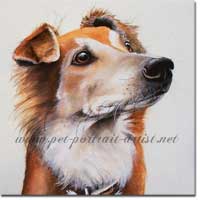 Watercolour Portrait of Alfie, by Joanna Culley, Pet Portrait Artist