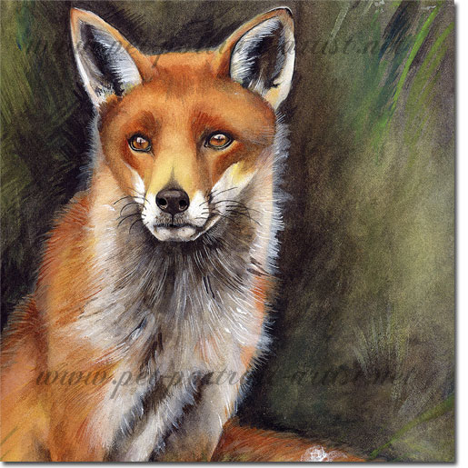 Portrait of a fox by Joanna Culley
