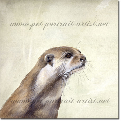 Portrait of a otter by Joanna Culley