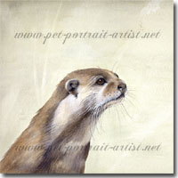 Watercolour painting of an otter by Joanna Culley