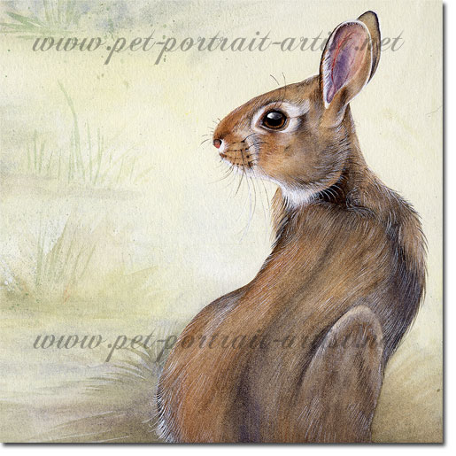 Portrait of a rabbit by Joanna Culley