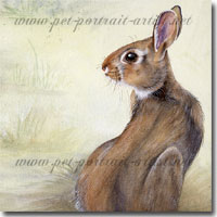 Watercolour painting of a rabbit by Joanna Culley