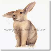 Watercolour painting 