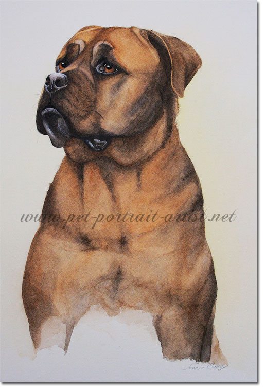 Portrait of Bull Mastif, by Joanna Culley