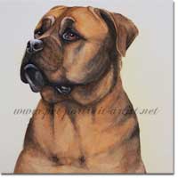 Bull Mastif Dog Painting, by Joanna Culley, Pet Portrait Artist
