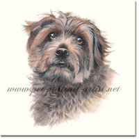 Cassie Pet Portrait, by Joanna Culley, Pet Portrait Artist
