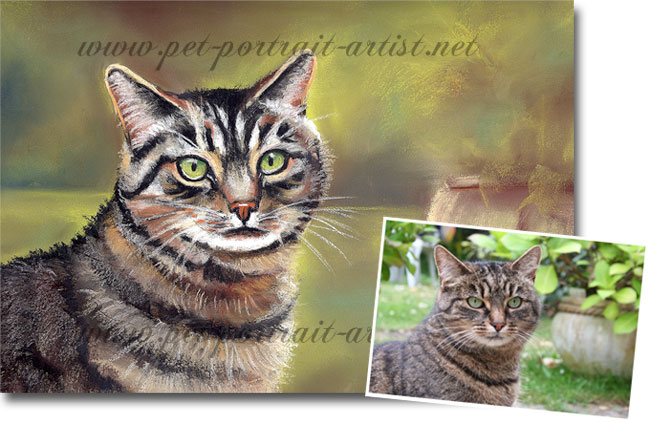 Cat Pastel Portrait of Anastasia with Comparison Photo,  by Joanna Culley