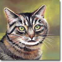 Pastel Cat Portrait, by Joanna Culley, Pet Portrait Artist