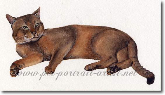 Watercolour Cat Portrait of Samson,  by Joanna Culley