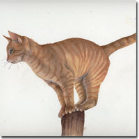 Watercolour Cat Portraits, cat on a post by Joanna Culley