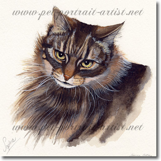 Watercolour Pet Portrait of Sophie the Cat,  by Joanna Culley