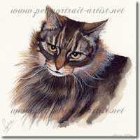 Watercolour Cat Portrait, by Joanna Culley, Pet Portrait Artist