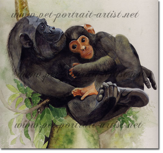 Watercolour picture of a chimpanzee mother with her baby, by Joanna Culley