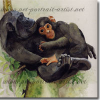 Watercolour picture of a chimpanzee mother with her baby, by Joanna Culley