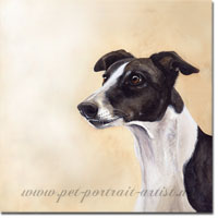 Dog Portrait of Cindy a Greyhound