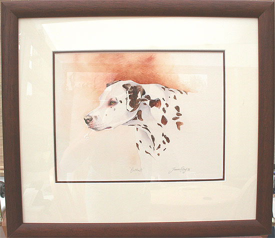 Portrait of Dalmation Dog, Framed, by Joanna Culley