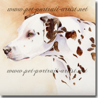 Dog portrait of a Dalmation Dog by Joanna Culley